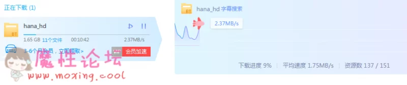 迅雷测速.PNG