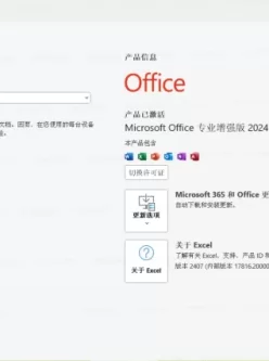 Microsoft Office 2024批量许可版202 4.11